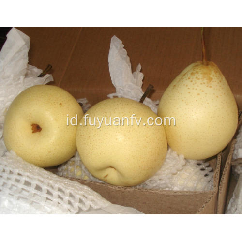 Buah segar yang lezat Ya Pear New Crop Pears